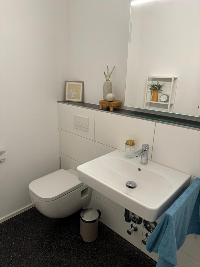 Isaak Appartment Stadtjuwel Waldshut-Tiengen Exteriör bild