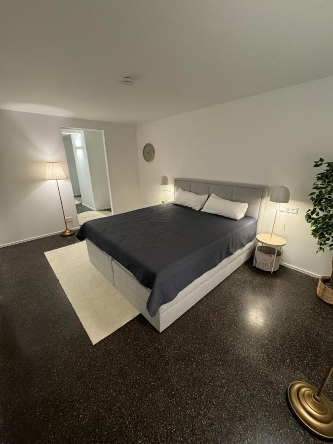 Isaak Appartment Stadtjuwel Waldshut-Tiengen Exteriör bild