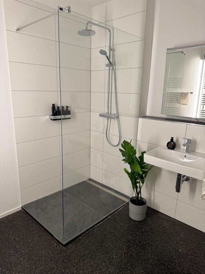Isaak Appartment Stadtjuwel Waldshut-Tiengen Exteriör bild