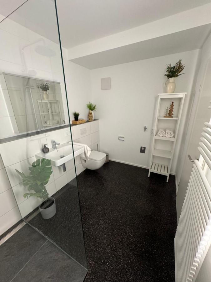Isaak Appartment Stadtjuwel Waldshut-Tiengen Exteriör bild