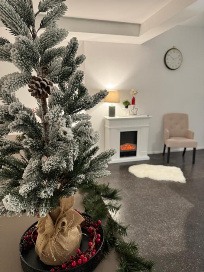 Isaak Appartment Stadtjuwel Waldshut-Tiengen Exteriör bild