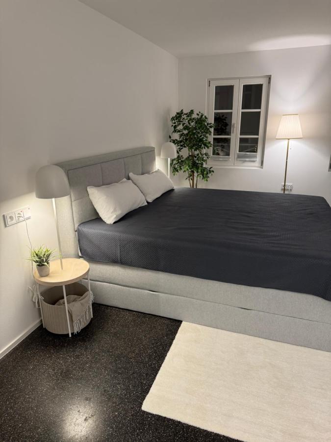 Isaak Appartment Stadtjuwel Waldshut-Tiengen Exteriör bild