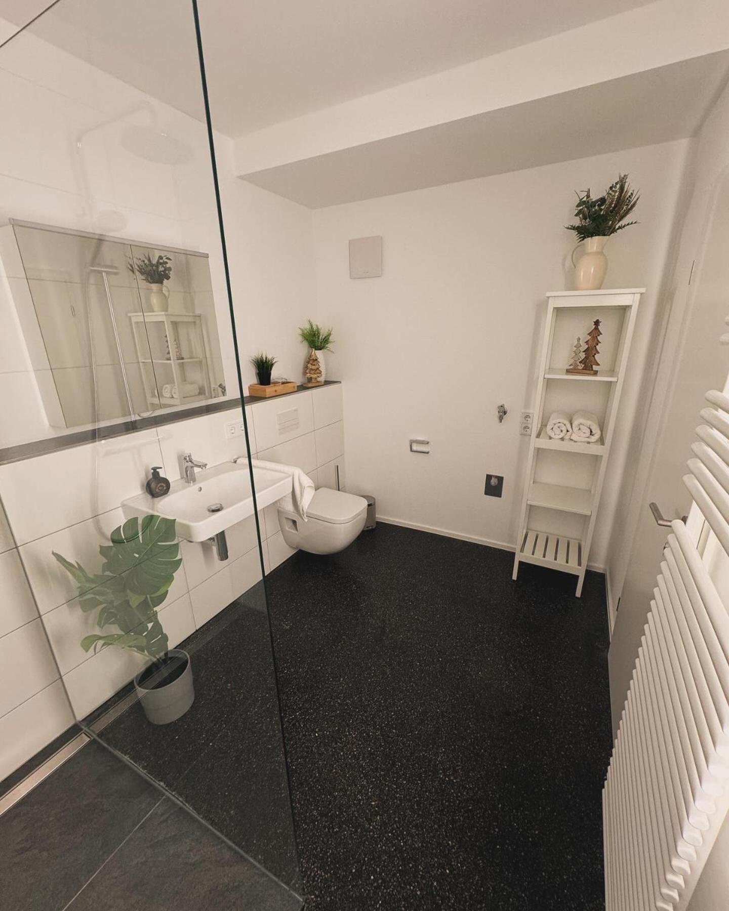 Isaak Appartment Stadtjuwel Waldshut-Tiengen Exteriör bild