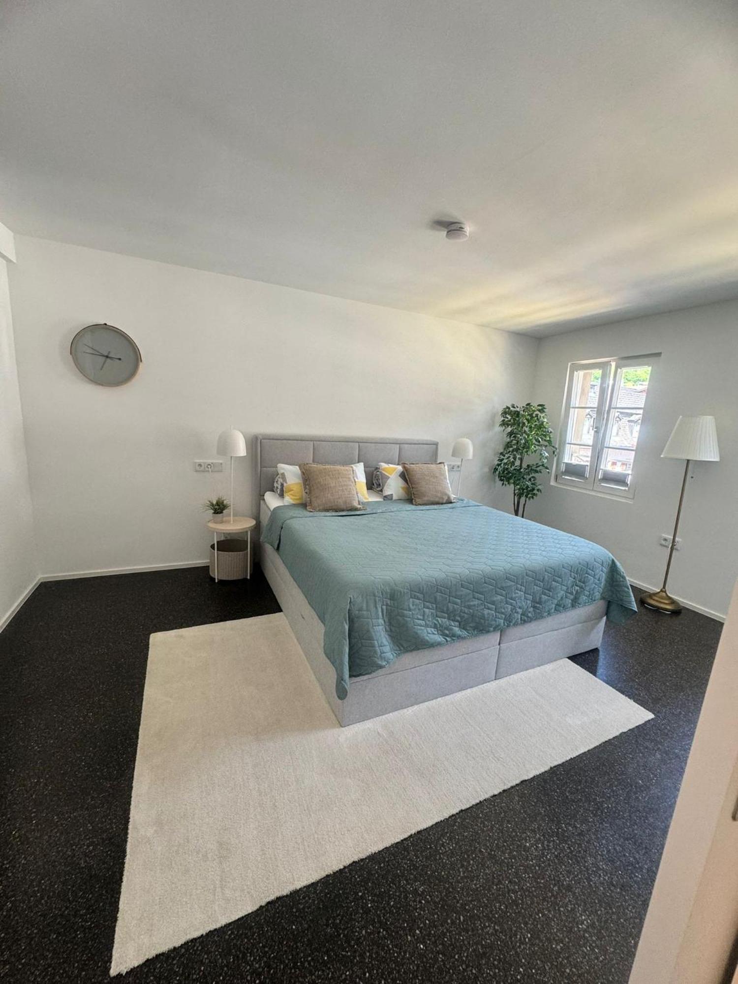 Isaak Appartment Stadtjuwel Waldshut-Tiengen Exteriör bild